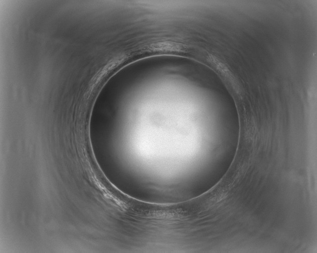 X0000079320625200611171124