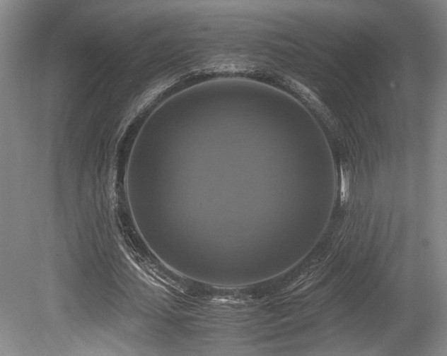 X0000079320627200611171124