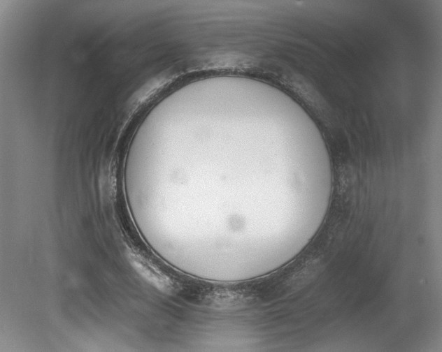 X0000079320632200611171124