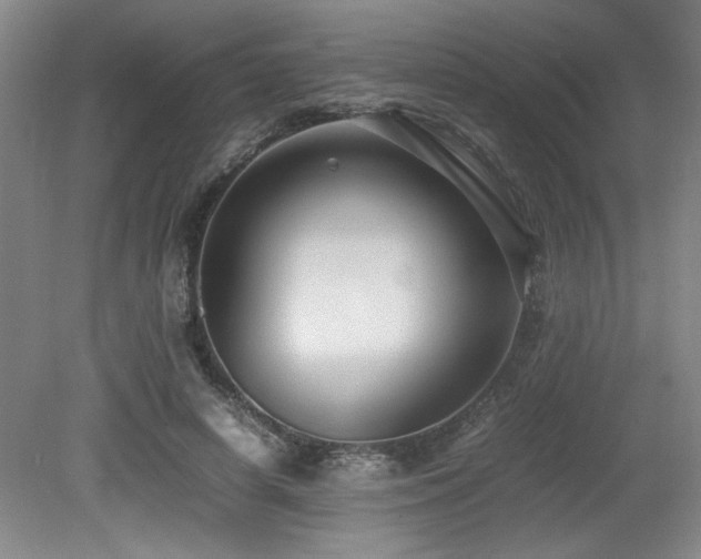 X0000079320642200611171124