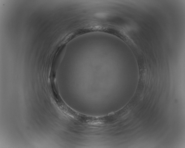 X0000079320643200611171124