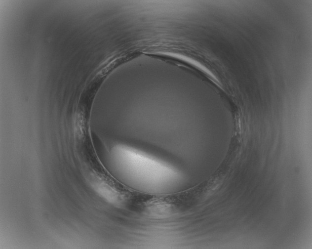 X0000079320648200611171124