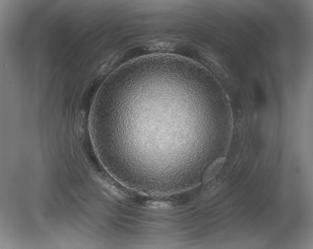 X0000079320649200611171124
