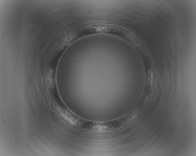 X0000079320650200611171124