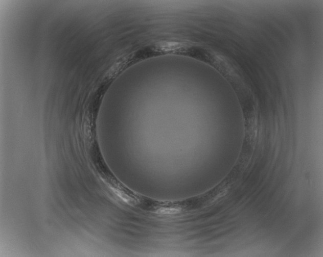 X0000079320653200611171124
