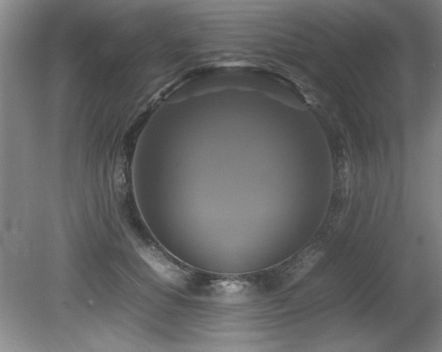 X0000079320654200611171124