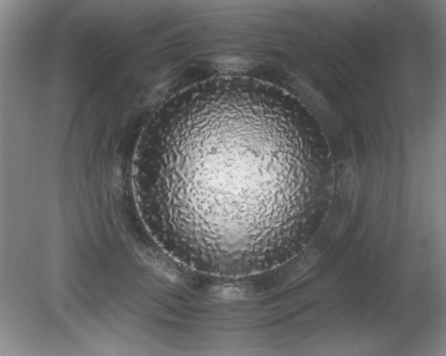 X0000079320655200611171124