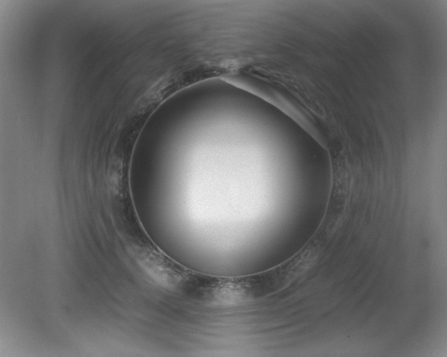 X0000079320656200611171124