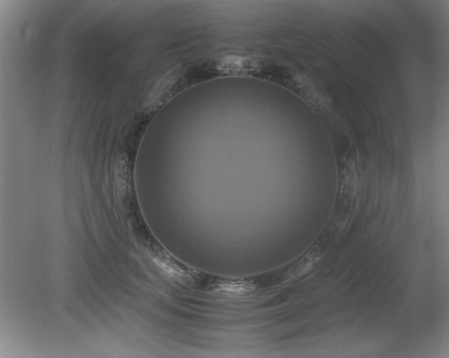 X0000079320659200611171124