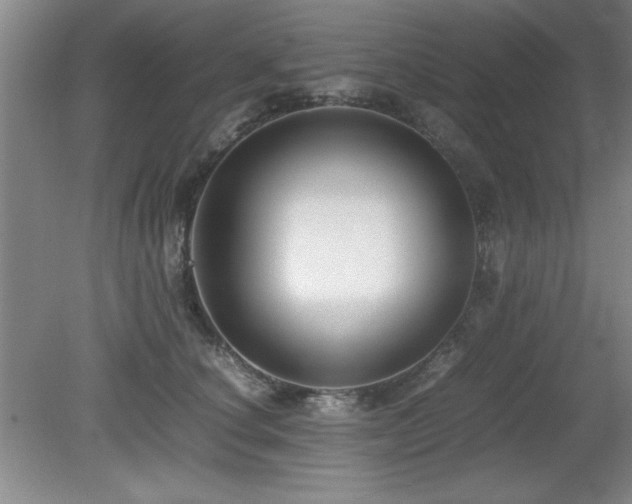 X0000079320660200611171124