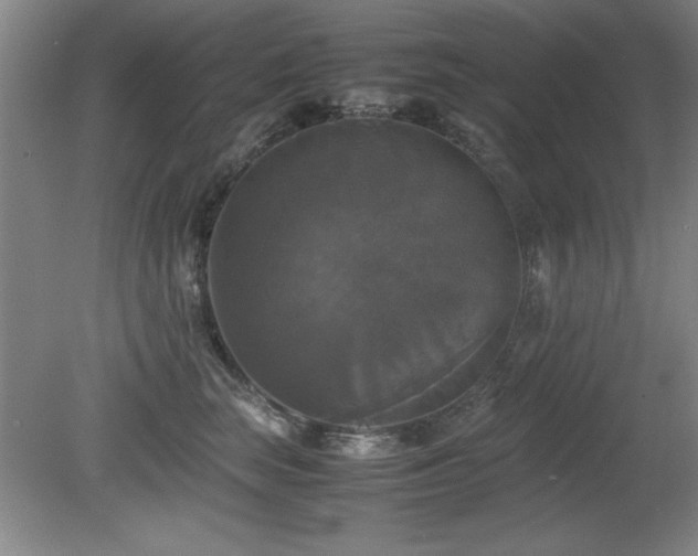 X0000079320663200611171124