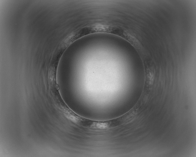 X0000079320665200611171124
