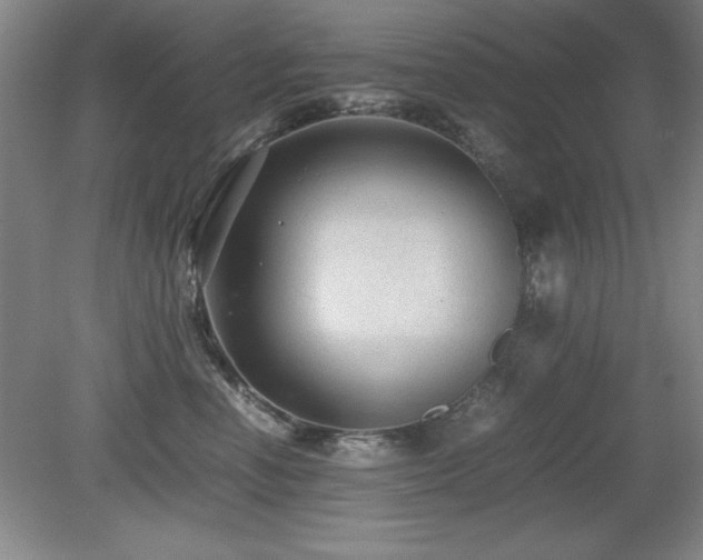 X0000079320666200611171124