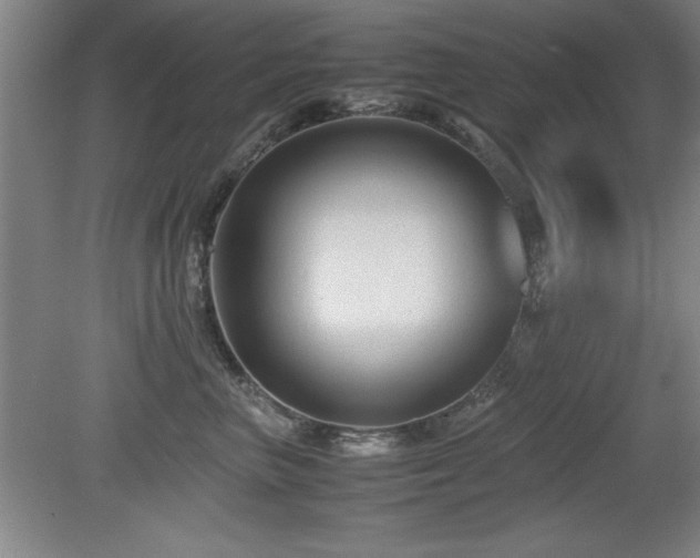 X0000079320667200611171124