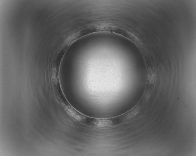X0000079320670200611171124