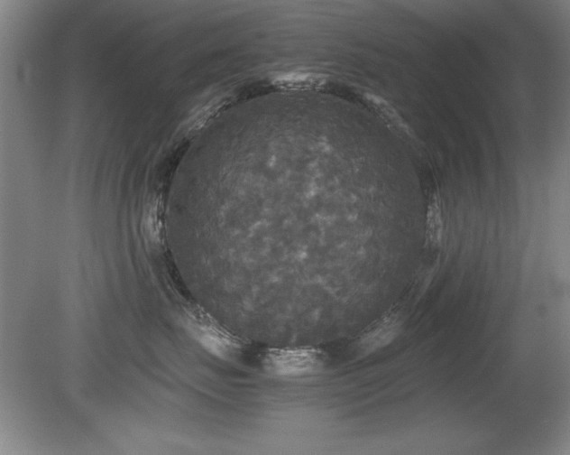 X0000079320671200611171124