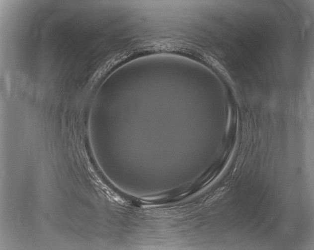 X0000079320673200611171124