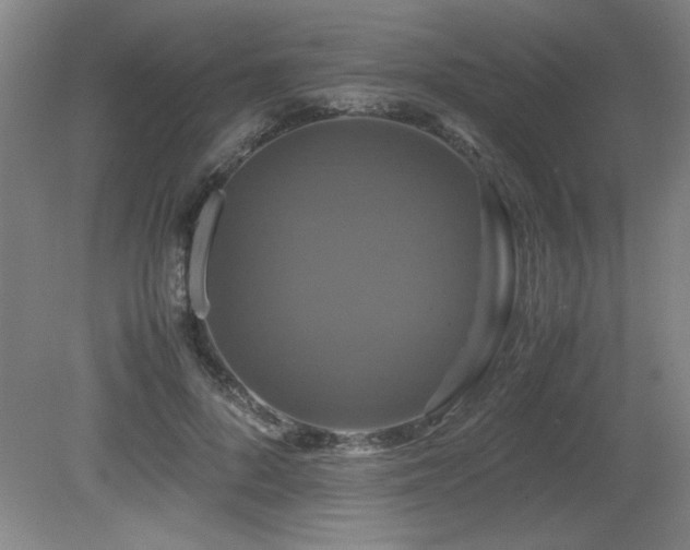 X0000079320696200611171123