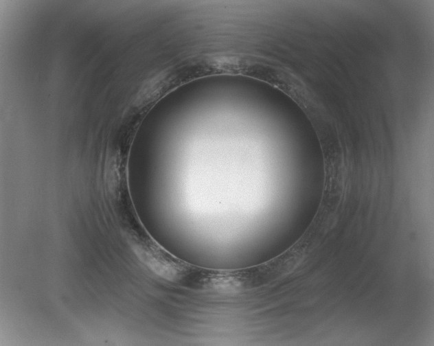 X0000079320702200611171123