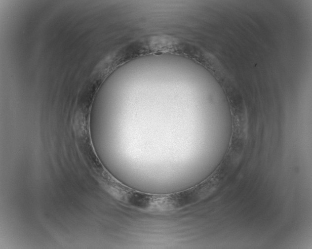 X0000079320705200611171123
