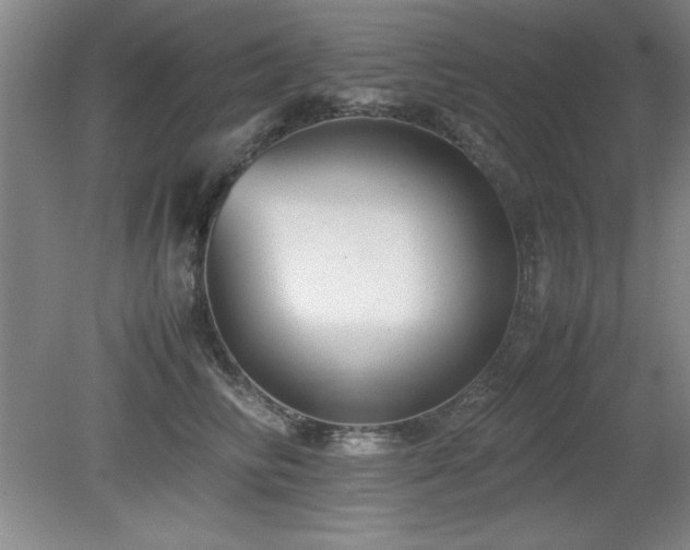 X0000079320710200611171123