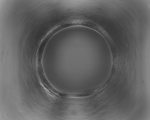X0000079320722200611171122
