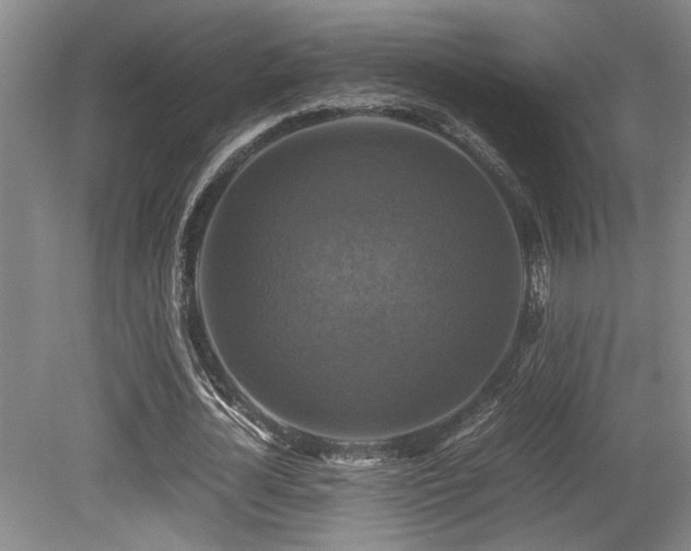 X0000079320724200611171122