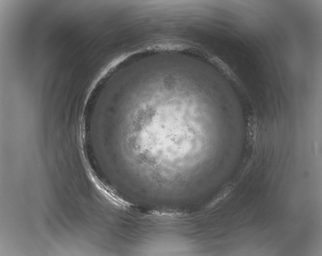 X0000079320726200611171122