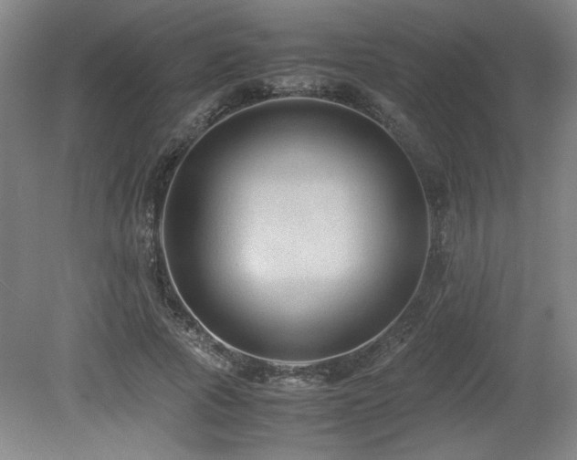 X0000079320737200611171122