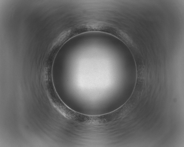 X0000079320738200611171122