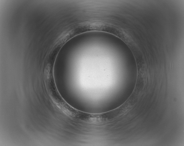 X0000079320744200611171122