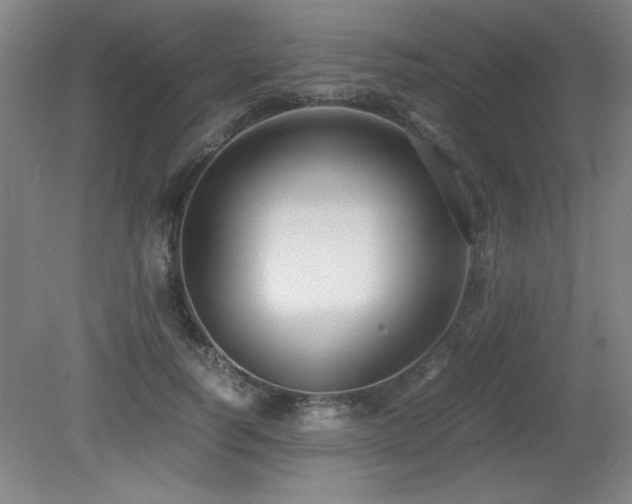 X0000079320746200611171122