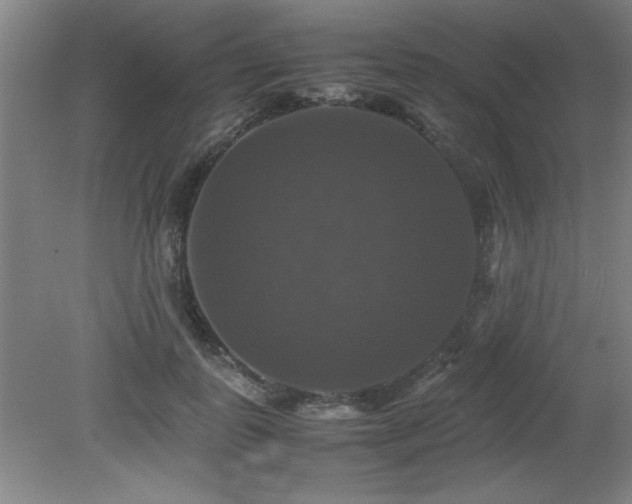 X0000079320747200611171122
