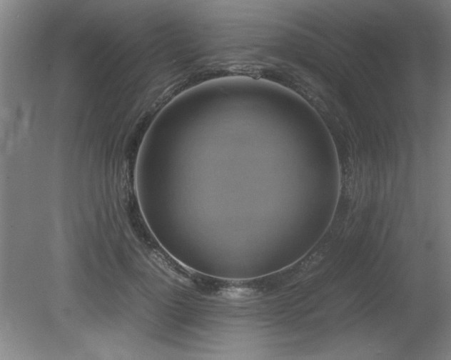 X0000079320748200611171122