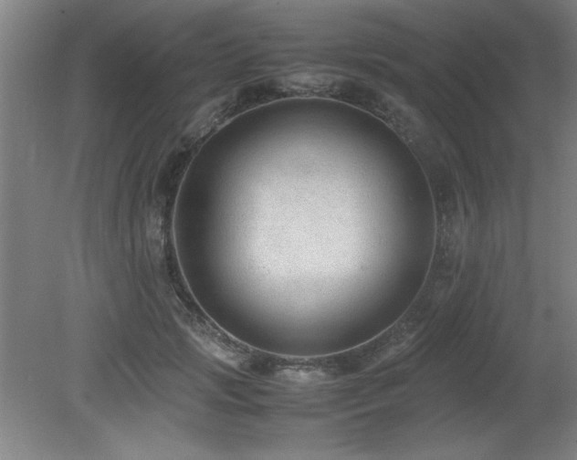 X0000079320749200611171122