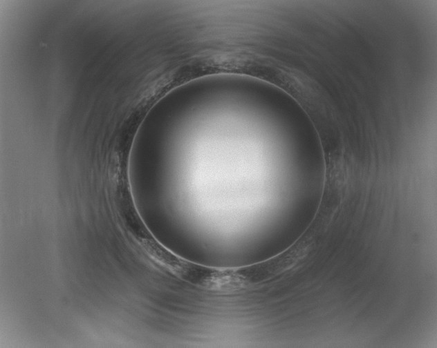 X0000079320752200611171122