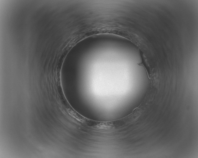 X0000079320756200611171123