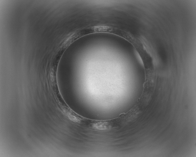X0000079320761200611171123