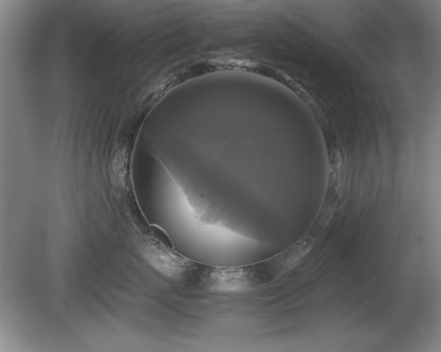 X0000079320767200611171123