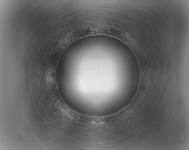 X0000079320770200611171122