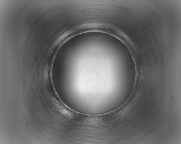 X0000079320778200611171122