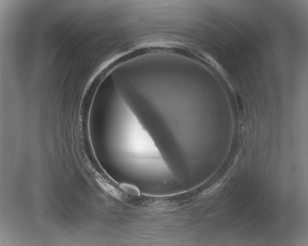 X0000079320779200611171122