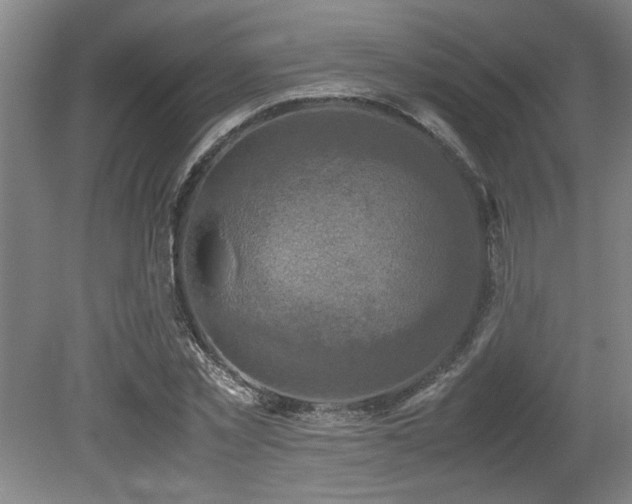 X0000079320781200611171122