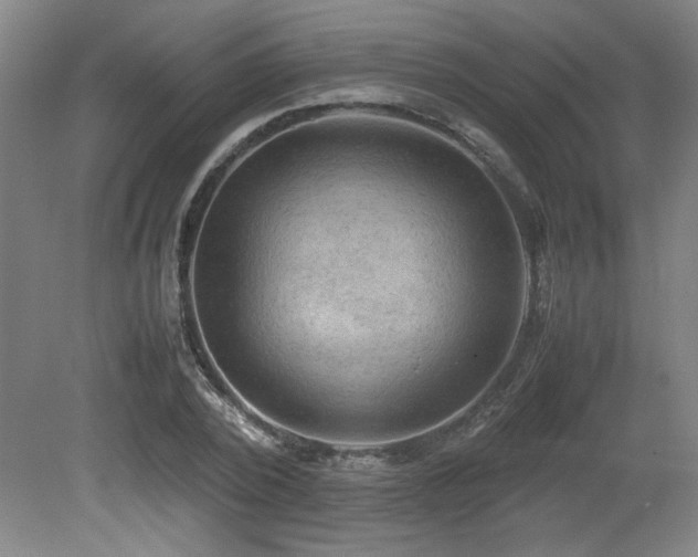 X0000079320784200611171122