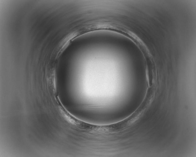 X0000079320801200611171121
