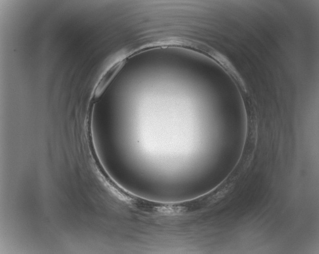 X0000079320805200611171121