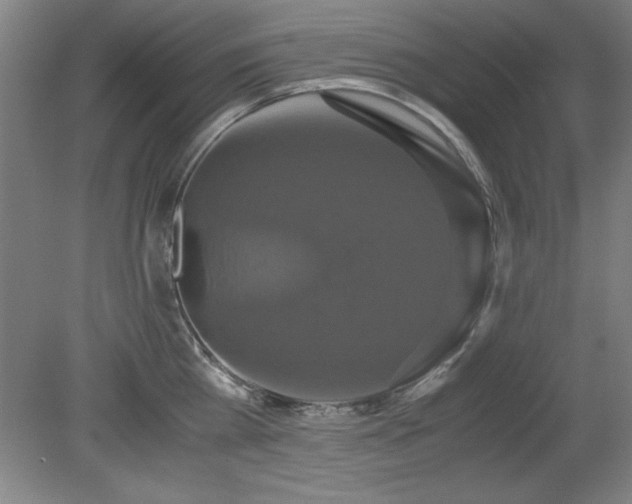 X0000079320809200611171121