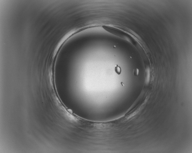 X0000079320812200611171121