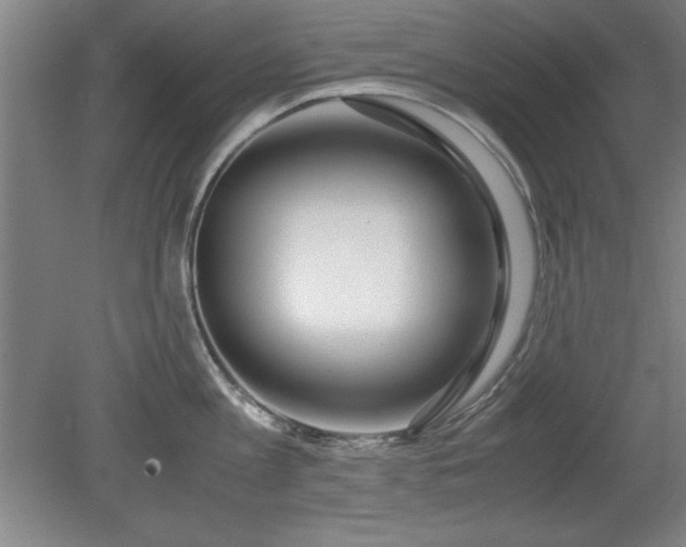 X0000079320813200611171121