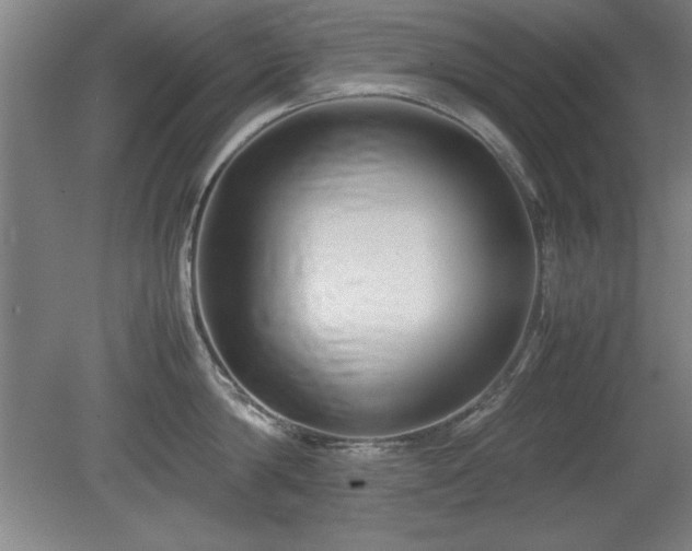 X0000079320814200611171121